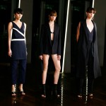 DION LEE – RESORT 2017